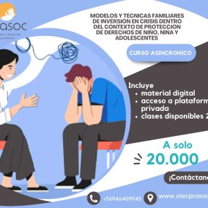 Modelos y Técnicas Familiares de intervención en crisis dentro del contexto de protección de los derechos del NNA