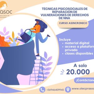 Técnicas psicosociales en reparación de vulneración de derechos en NNA