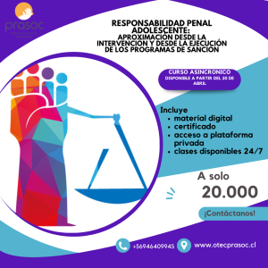Responsabilidad Penal Adolescente: aproximación desde la intervención y desde la ejecución de los programas de sanción